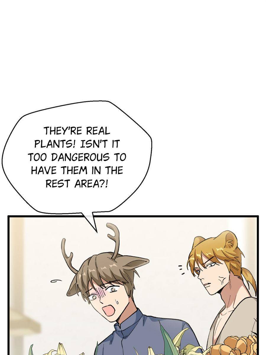 88291167 900 1200 80377